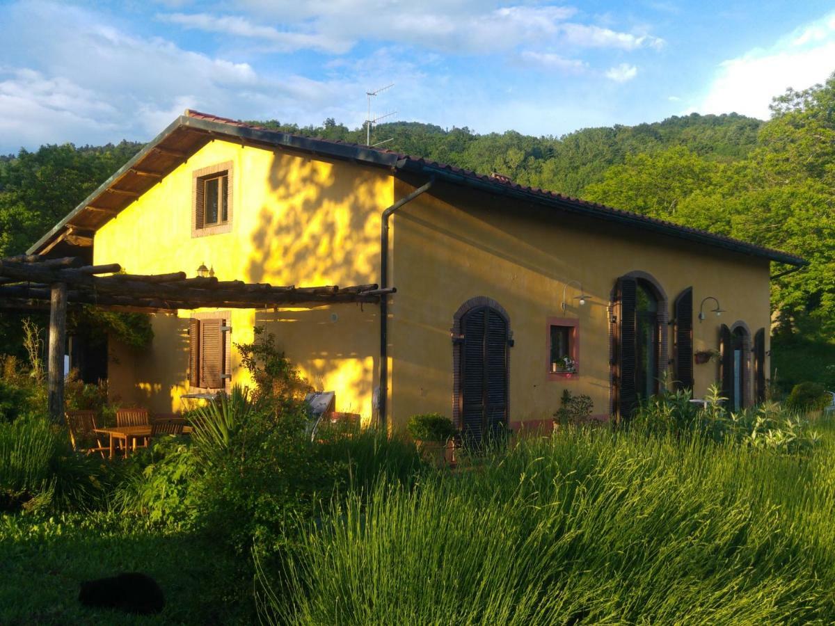 Podere Di Maggio - Casa Della Nonna Santa Fiora Exterior foto